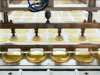 Контактные чашки Петри 90 мм с триптон-соевым агаром с лецитином, гистидином и тиосульфатом натрия, Tween 80, Россия