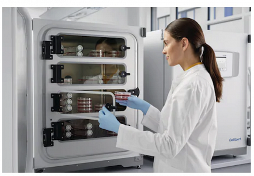 CO₂-инкубатор, 170 л, прямой нагрев, ИК-датчик стерилизуемый, 4-секционная дверца, мониторинг уровня воды и влажности, медный корпус, ручка слева, CellXpert 170i Фото 3