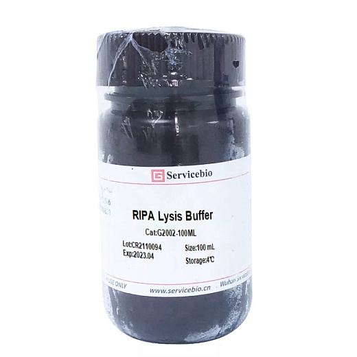 Буфер лизирующий, RIPA Lysis Reagent (strong)