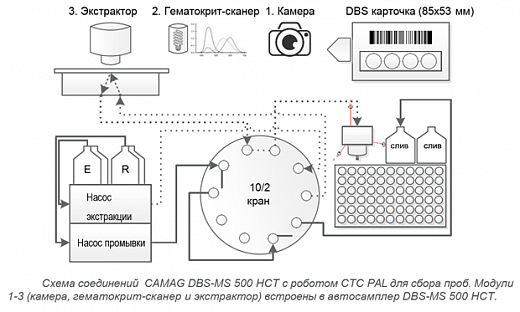 Рис. Схема соединений Camag DBS-MS 500 HCT с роботом CTC PAL для сбора проб. Модули 1-3 (камера, гематокрит-сканер и экстрактор) встроены в Camag DBS-MS 500 HCT