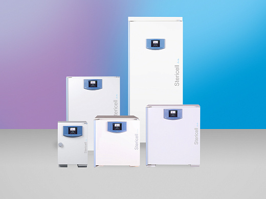 Стерилизатор суховоздушный 55 л, до 250°С, принудительная вентиляция, ECO line, Stericell 55 eco, все все модели