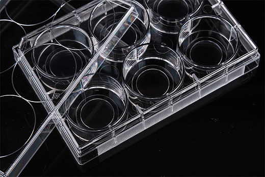 Планшеты культуральные 6-лун. со стеклянным дном (крупный план), Nest, Китай