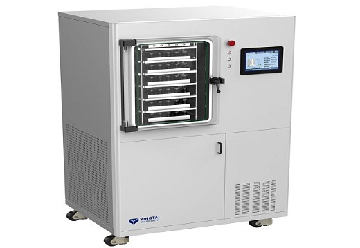 Лиофильная сушилка, до -70 °С/90 °С, 12 л, 18 л/сутки, EX8, Yingtai