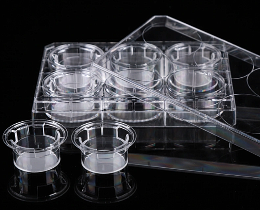 Планшеты культуральные 6-лун. со вставками и крышкой, Nest, Китай