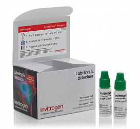 Набор SYTOX Green Ready Flow Reagent, для проточной цитометрии, 2х2,5 мл, 120 тестов