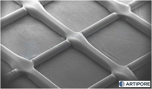 Диски для 3D культивирования полученные методом электроформования, выровненные нановолокна, материал нанесен линейно, толщина подложки 12 мкм, 48 луночный планшет