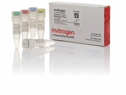 Смесь SuperScript IV VILO Master Mix with ezDNase Enzyme