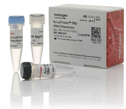 ДНК-полимераза AccuPrime Pfx DNA Polymerase