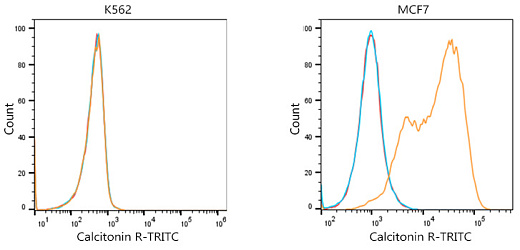 Антитела Anti-Mouse IgG (H+L) козьи, поликлональные, конъюгированные с TRITC, проточный цитометрический анализ