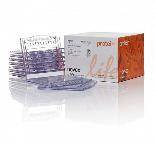 NW04125BOX Гель полиакриламидный Bolt Bis-Tris Mini Protein Gel, 8 х 8 см, 15 лунок, 4 - 12%, 10 шт./уп., Thermo FS
