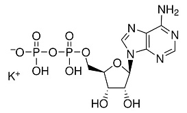 	 АДФ-K×2H₂O (Аденозин-5-дифосфат монокалиевая соль дигидрат, ADP-K×2H₂O) монокалиевая соль дигидрат
