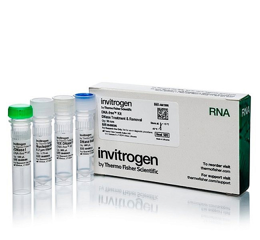Набор DNA-free DNA Removal Kit, Thermo FS