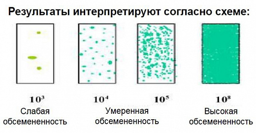 Микробиологические экспресс-тесты для определения КМАФАнМ (ОМЧ) и плесени/дрожжи, двухсторонние, Dip-Slides, 10 шт/уп Фото 2