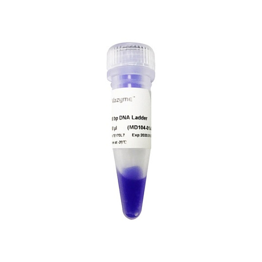 ДНК-маркер 100 bp DNA Ladder, 11 фрагментов от 100 до 1500 п.н., 5 мкл/нанесение, Vazyme