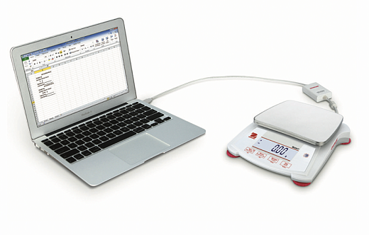 Весы портативные, 620 г/0,1 г, внешняя калибровка, SPX621 Фото 3
