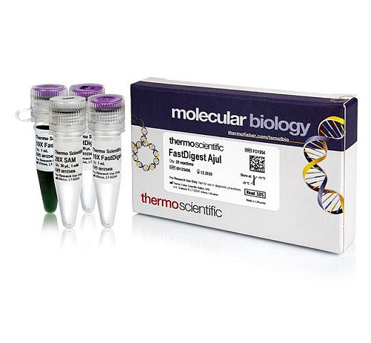 Эндонуклеаза рестрикции AjuI Fast Digest для ускоренного гидролиза ДНК, Fermenta